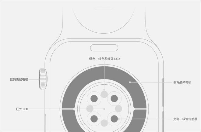 锚定健康的极致产品力铸就穿戴王者Apple Watch十周年：(图4)