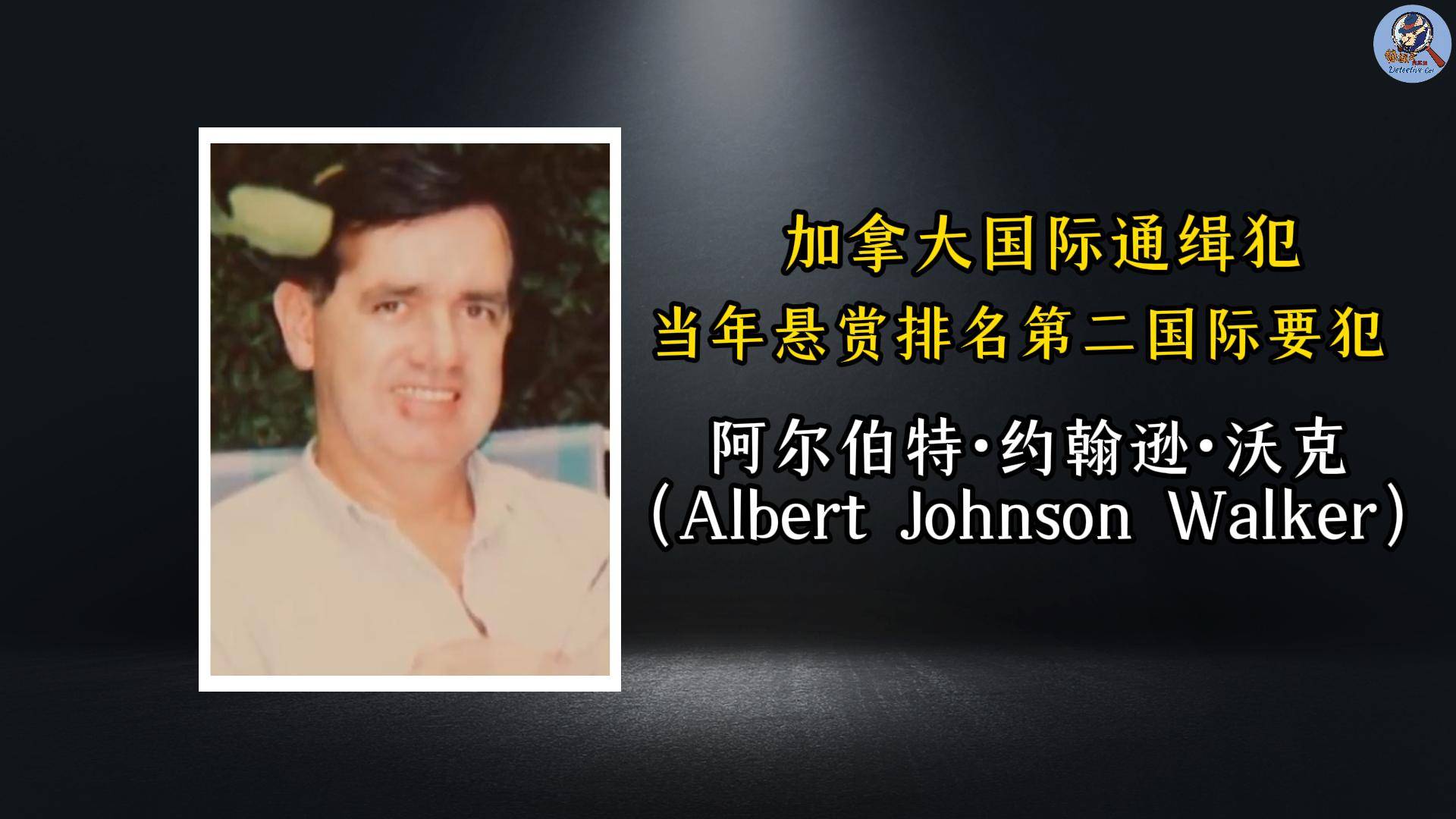 承认若非巧合加成毫无破案可能英国最接近完美的犯罪连警方都(图21)